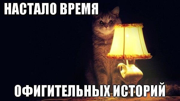 Мем из интернета