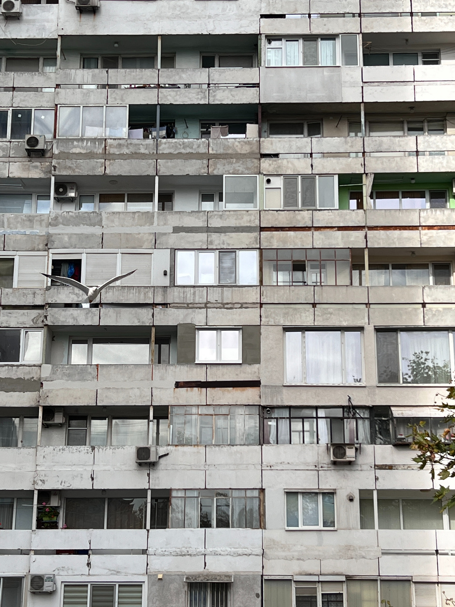 Фото автора блога Дно Мещанства, 2022 год