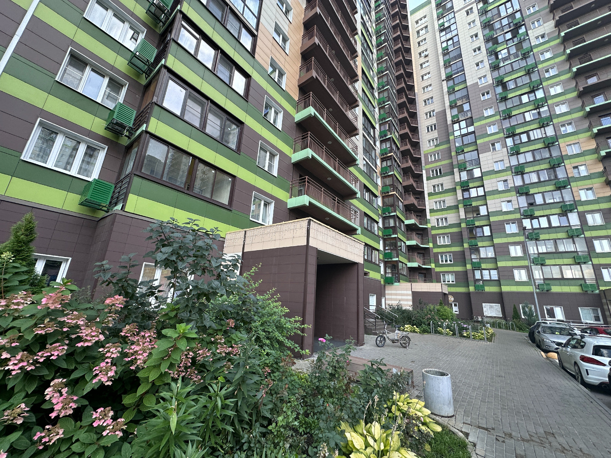 Фото автора блога Дно Мещанства, август 2024