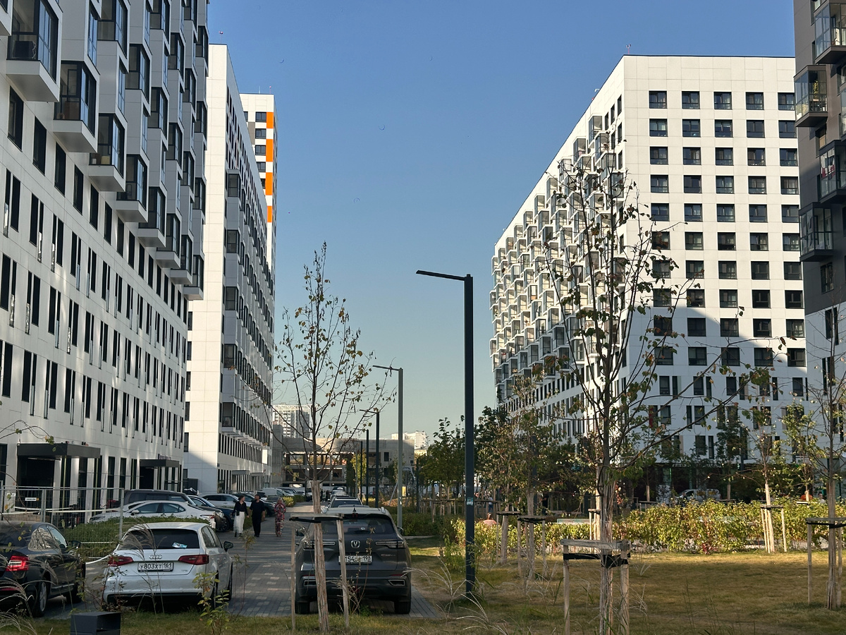 Грин Парк, фото автора блога Дно Мещанства, август 2024