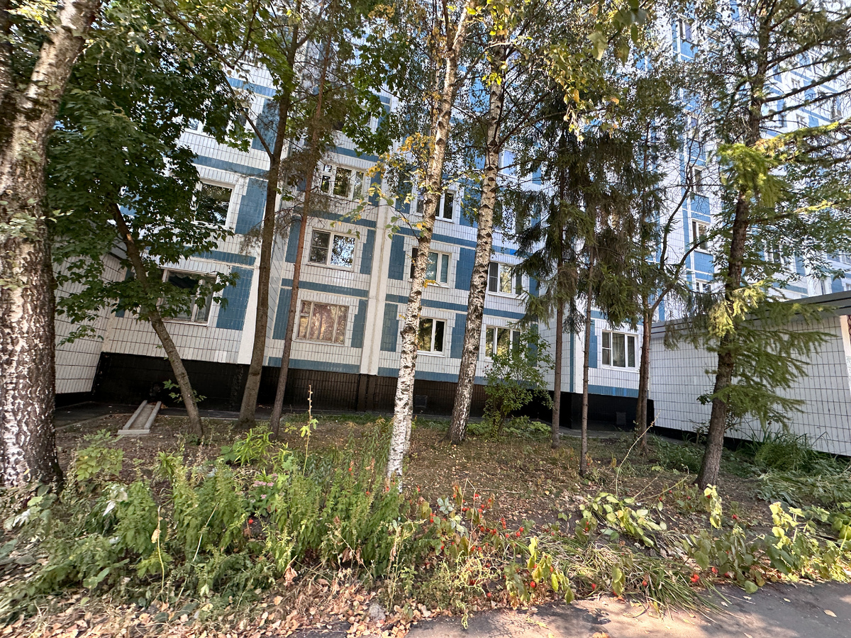 Дом П-44 на окраине Москвы, фото автора блога Дно Мещанства, сентябрь 2024 