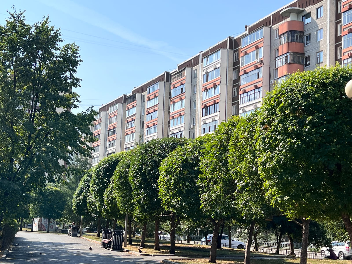 Микрорайон Ботанический, Родонитовая улица, фото автора блога Дно Мещанства