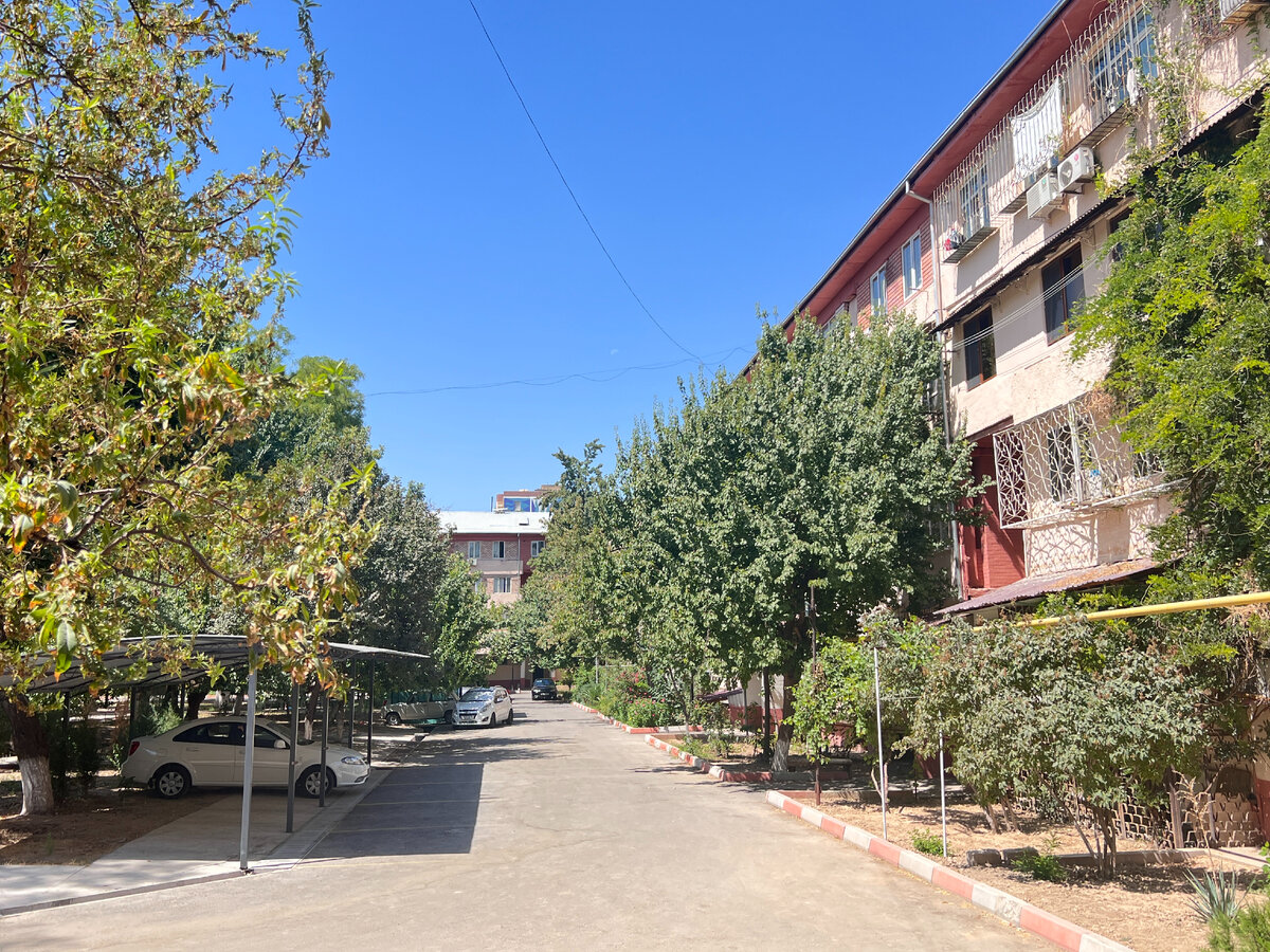 Фото автора блога Дно Мещанства, Ташкент август 2022