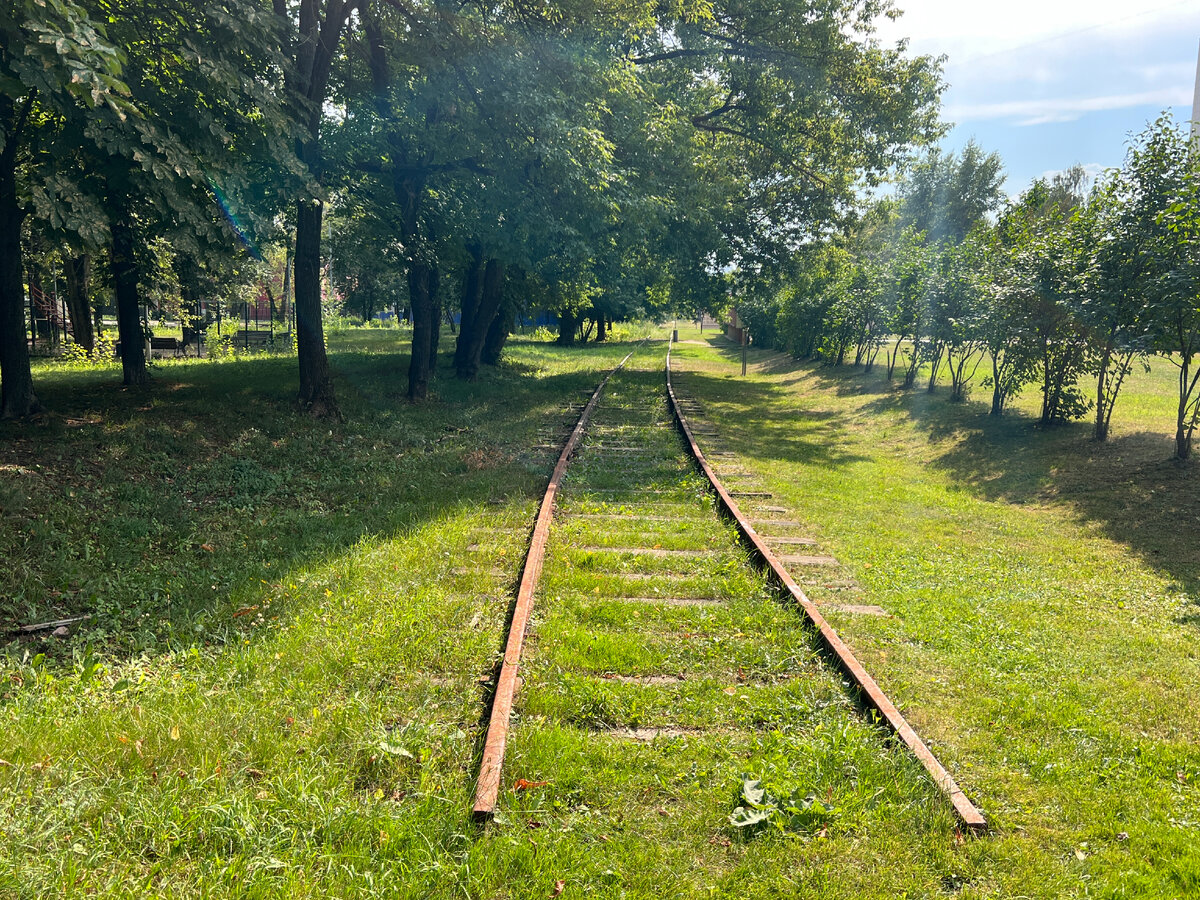 Милые детали, чересчур даже. Курьяновский парк, фото автора блога Дно Мещанства, 2022 год